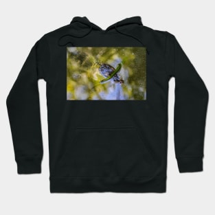 Wild Baby Alligator Hoodie